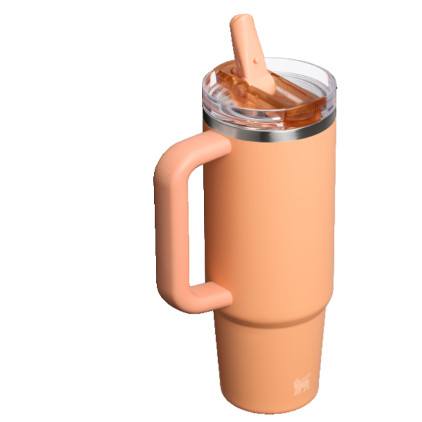 The Quencher ProTour Flip Straw Tumbler